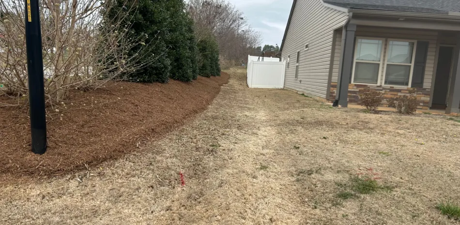 Drainage & Grading Drainage & Grading